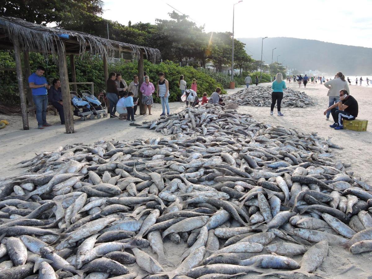 Apto 2 Quartos No Centro De Bombinhas, 130 Metros Praia Ngoại thất bức ảnh